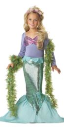 Little Mermaid costume Adelaide