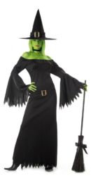 Wicked Witch Costume Adelaide