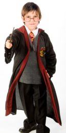 Harry Potter costume Adelaide